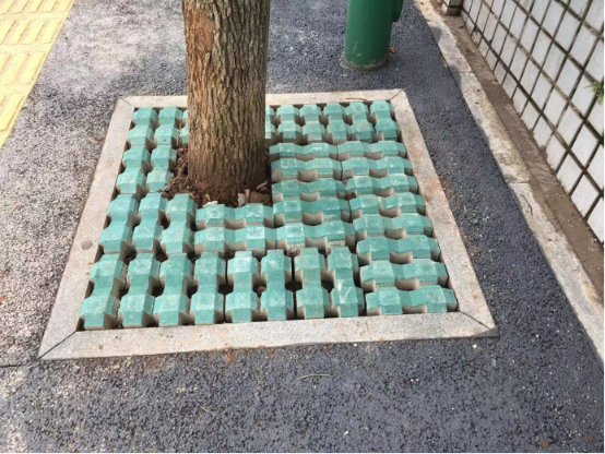 环城西路等路段人行步道狭窄,在海绵改造后道路的树池不少处于"露天"